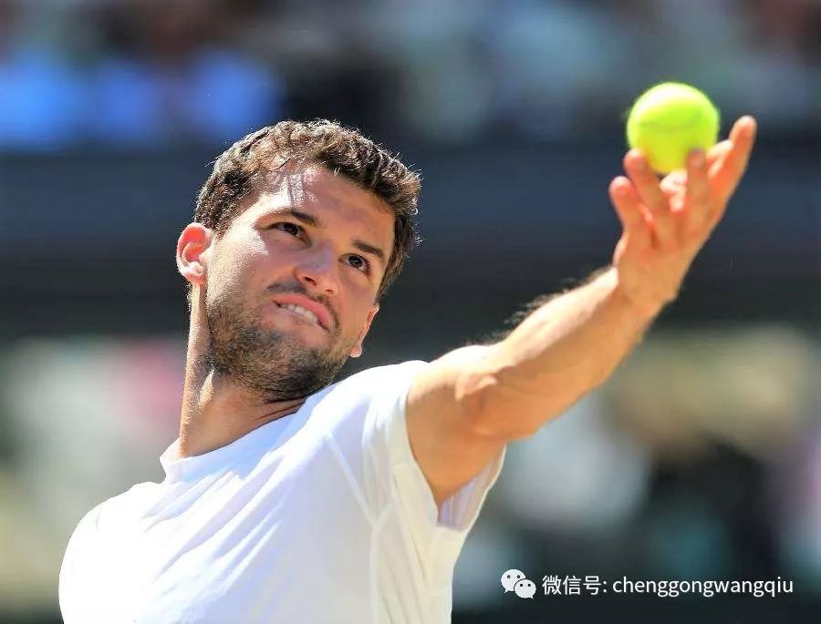 球队贡献了 球队贡献了