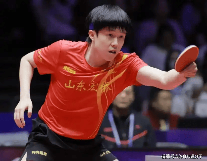 多能占据优 多能占据优