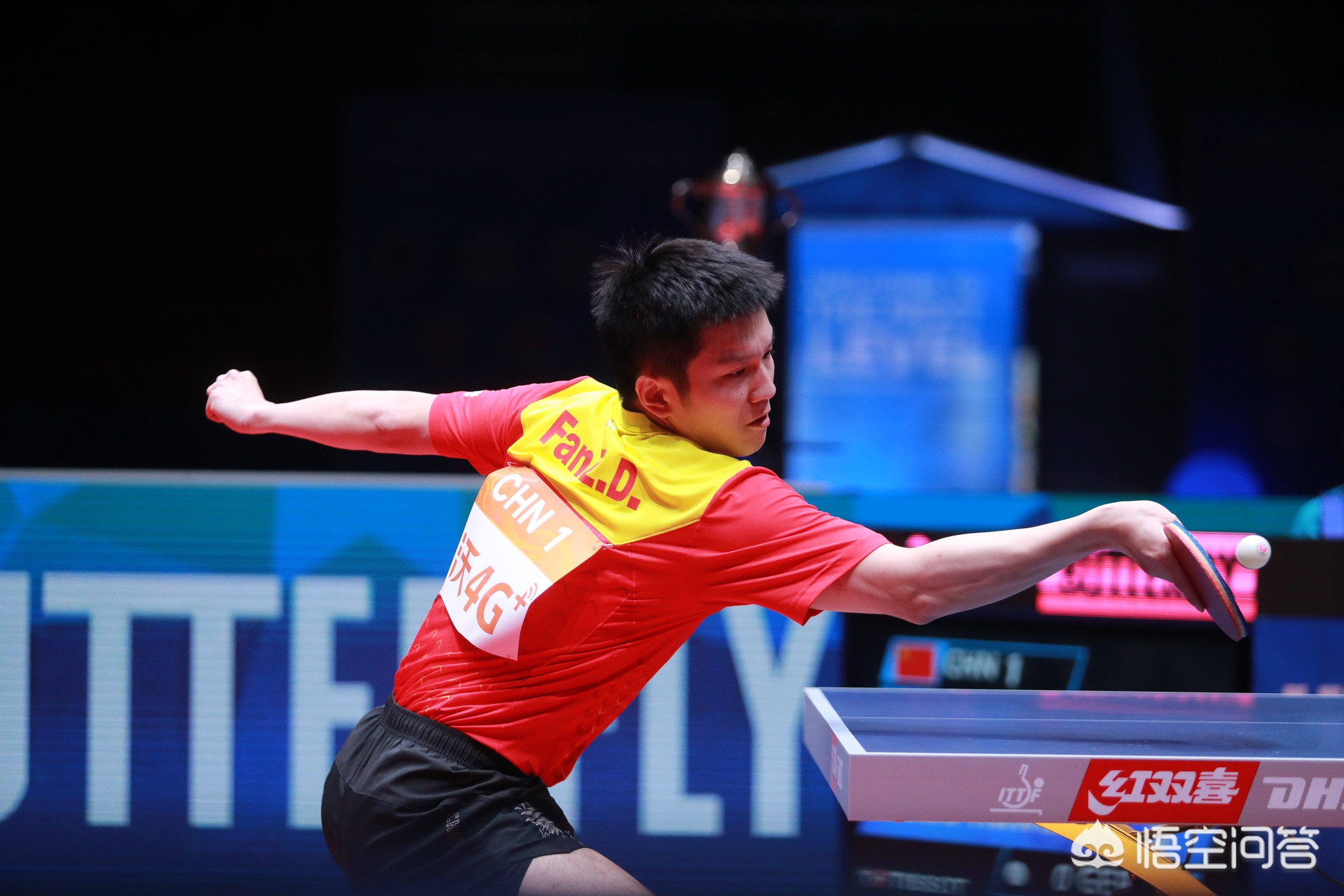 奥运冠军汪 奥运冠军汪